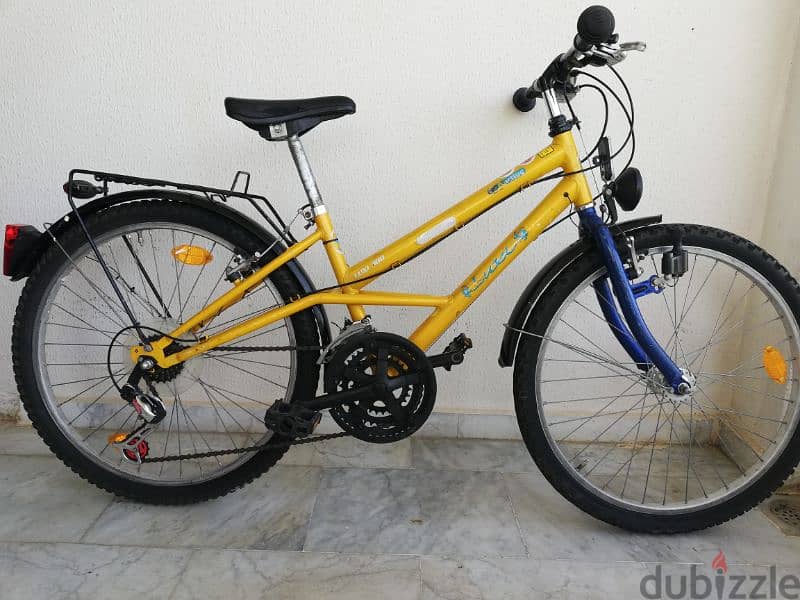 wuxi 300 bike size 24 2