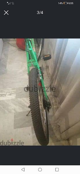 bike green size 26 1