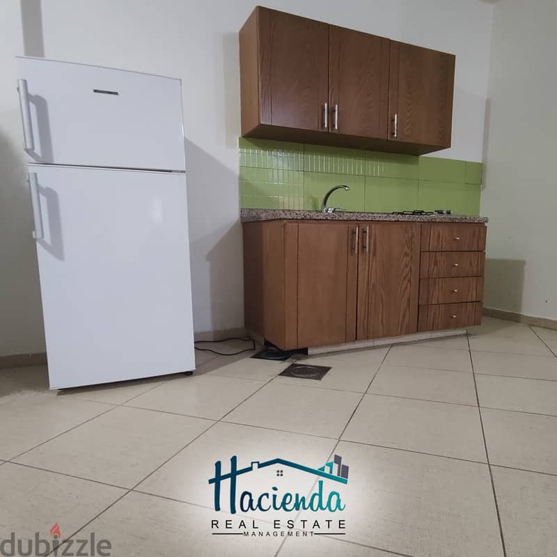 Furnished Apartment For Rent In Bsalim 4