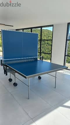 Butterfly ( indoor table tennis)