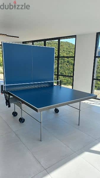 Butterfly ( indoor table tennis) 0