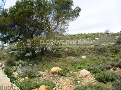 Beautiful Land | Panoramic View | Green Neighborhood