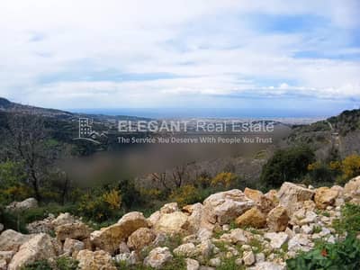 Beautiful Land | Panoramic View | Green Neighborhood