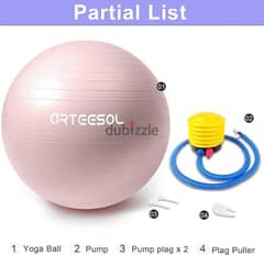 Arteesol Exercise ball.