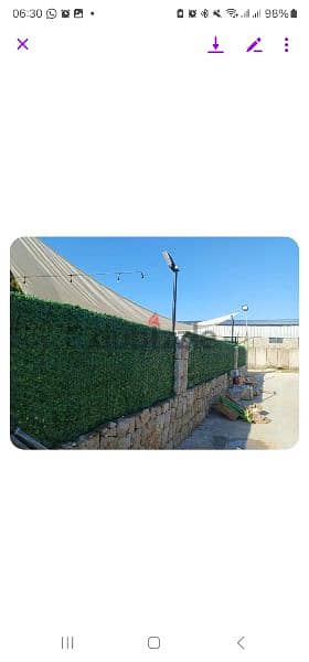 we diliver artificial grass green wall and fans 3