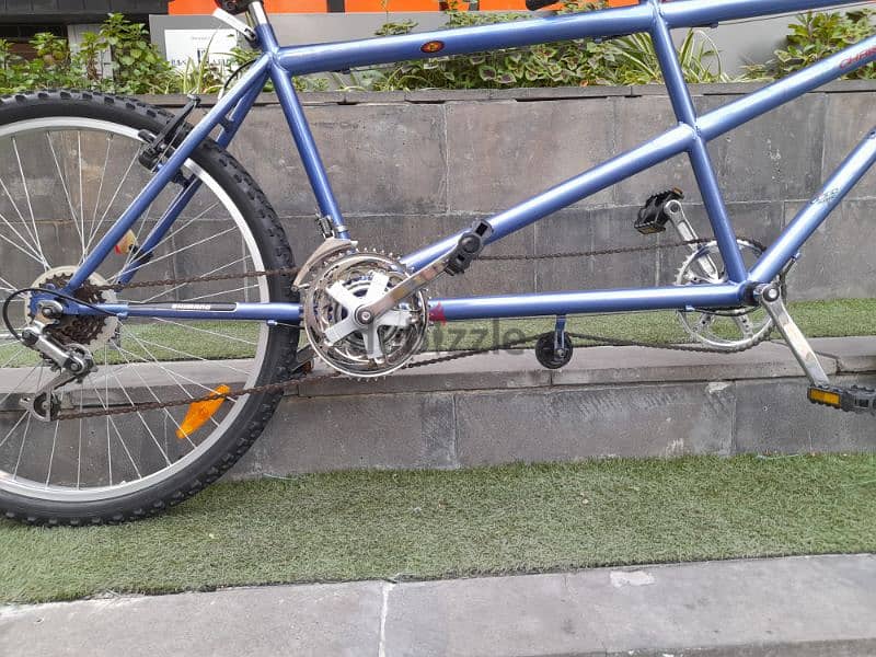cety bike 11