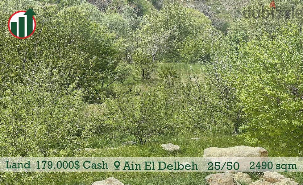 Catchy Land for sale in Ain l Delbe! 1