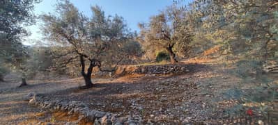 1840 Sqm | Land For Sale In Mimess - Hasbaya