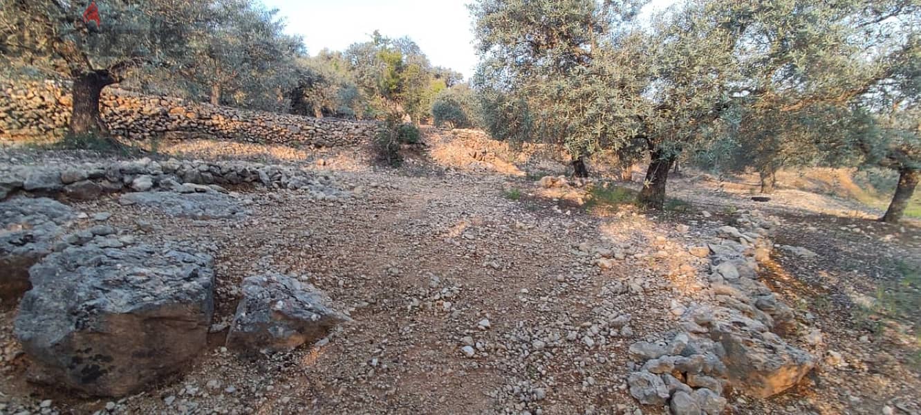1840 Sqm | Land For Sale In Mimess - Hasbaya 1