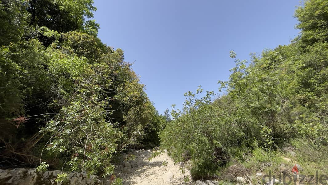 RWB152CA - Two Lands for sale in Ghalboun Jbeil 2