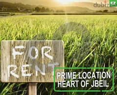 PRIME LOCATION LAND FOR RENT IN JBEIL!!!جبيل REF#EZ105018 0