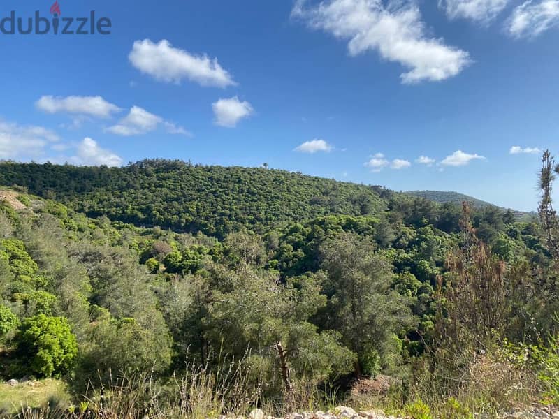 1260 Sqm | Land For Sale In Chouf , Dahr El Maghara | Mountain View 1