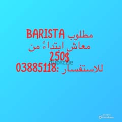 barista - starting 250$ 0