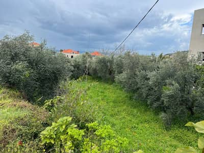 Prime Land for Sale in Batroun/1660 sqm/Sea view/ ارض للبيع في البترون