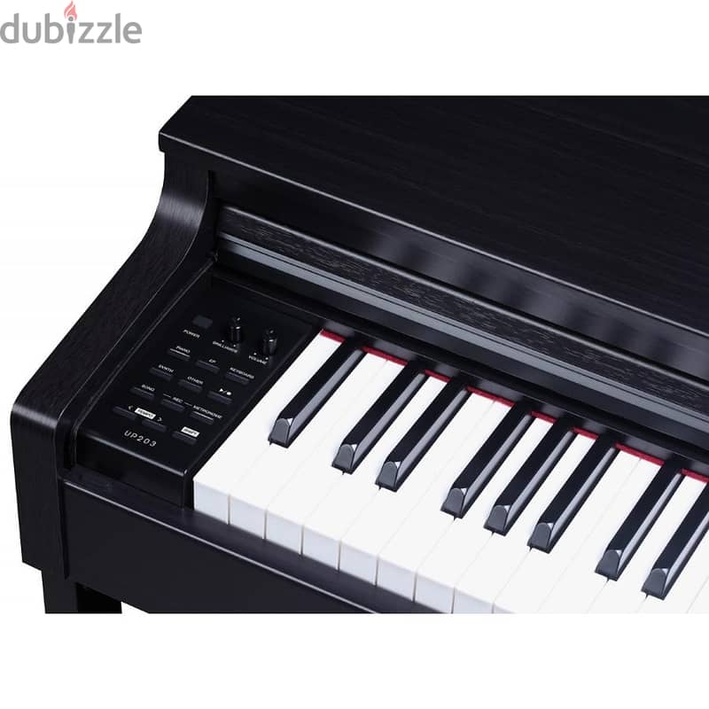 UP2O3 Digital Piano 88 keys (graded action standard  GAS-II),Pro Piano 1