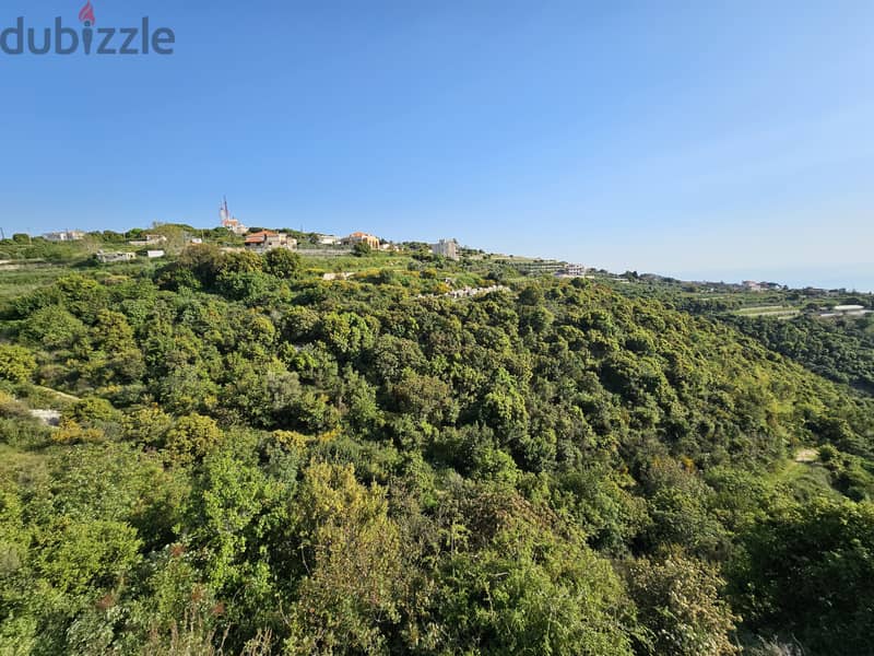 RWB297MT - Land for sale in Shmout Jbeil 3