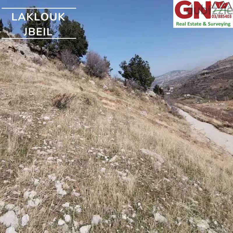 Land 835m2 in Laklouk only for 65,000$ ارض في لقلوق 1