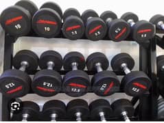 Dumbbells life fitness New gym and home use 03027072 GEO SPORT