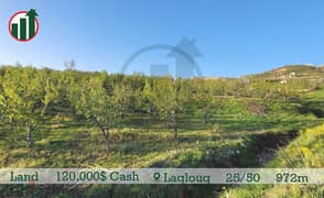 GOOD PRICE!! Land for sale in Laqlouq with Open View!