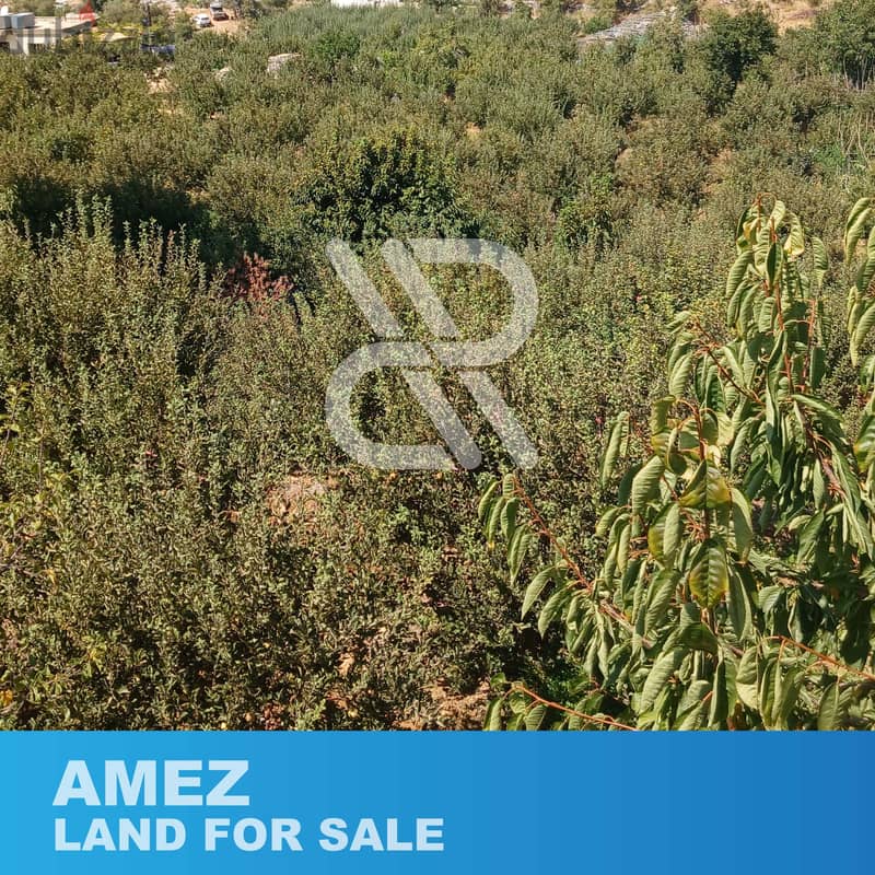 Land for sale in Keserwan- للبيع في كسروان 1