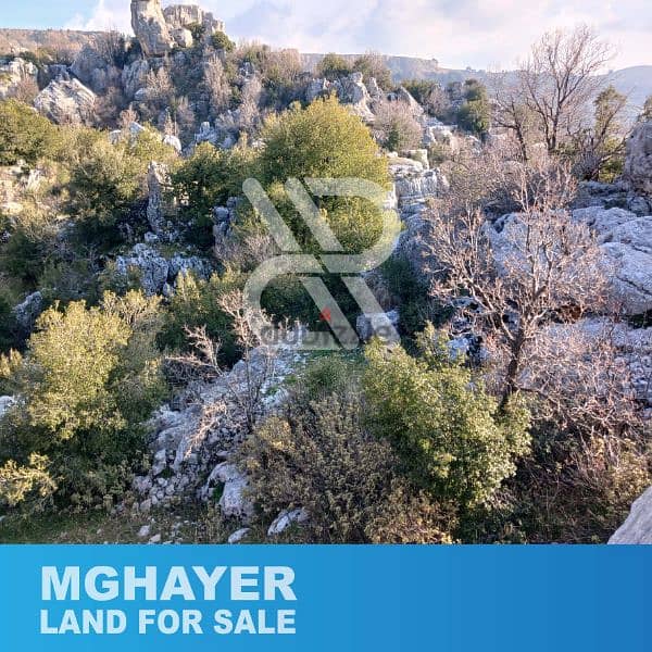 land for sale in Mghayer, Mayrouba - أرض للبيع في مغاير، ميروبا 1