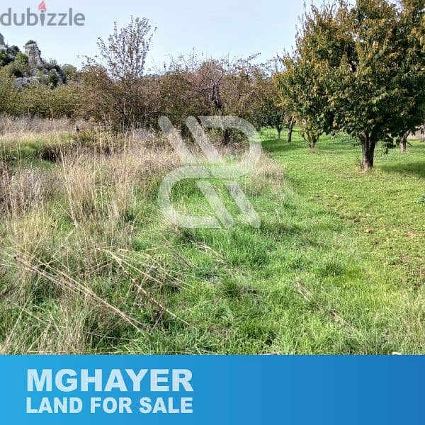land for sale in Mghayer, Mayrouba - أرض للبيع في مغاير، ميروبا 3
