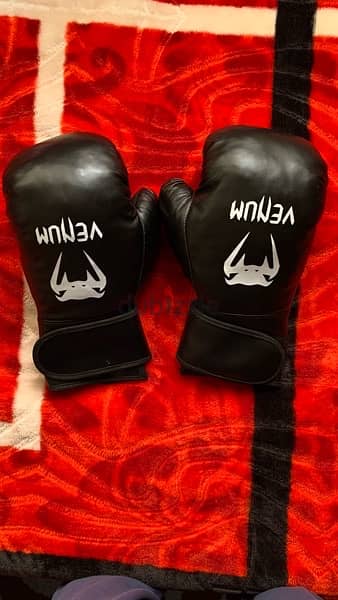 Venum Boxing gloves 1