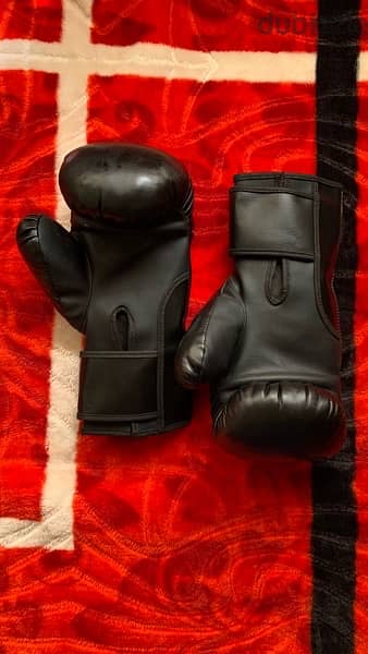 Venum Boxing gloves 2