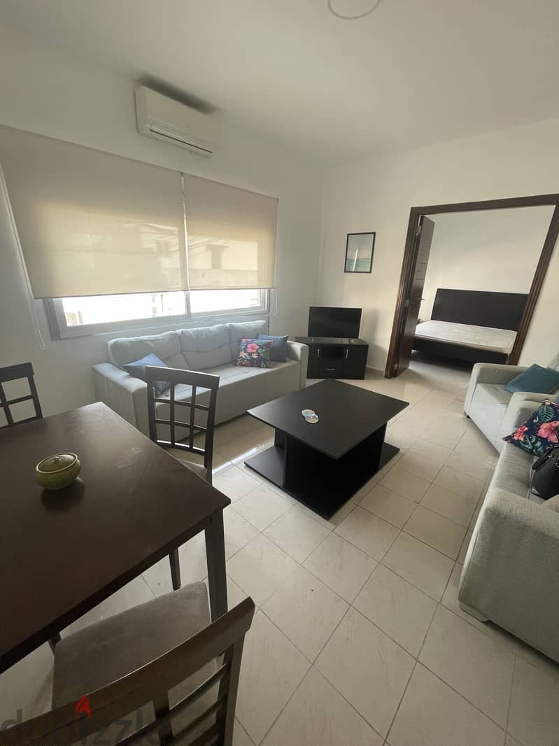 Furnished Apartment for rent 17