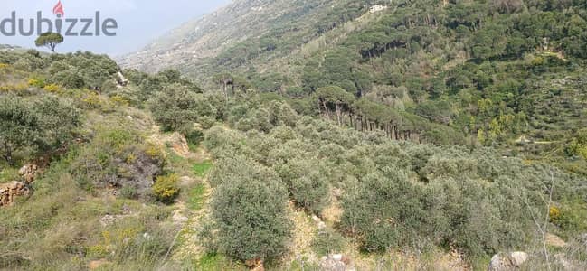 12,000 m2 Land for Sale in El Bireh