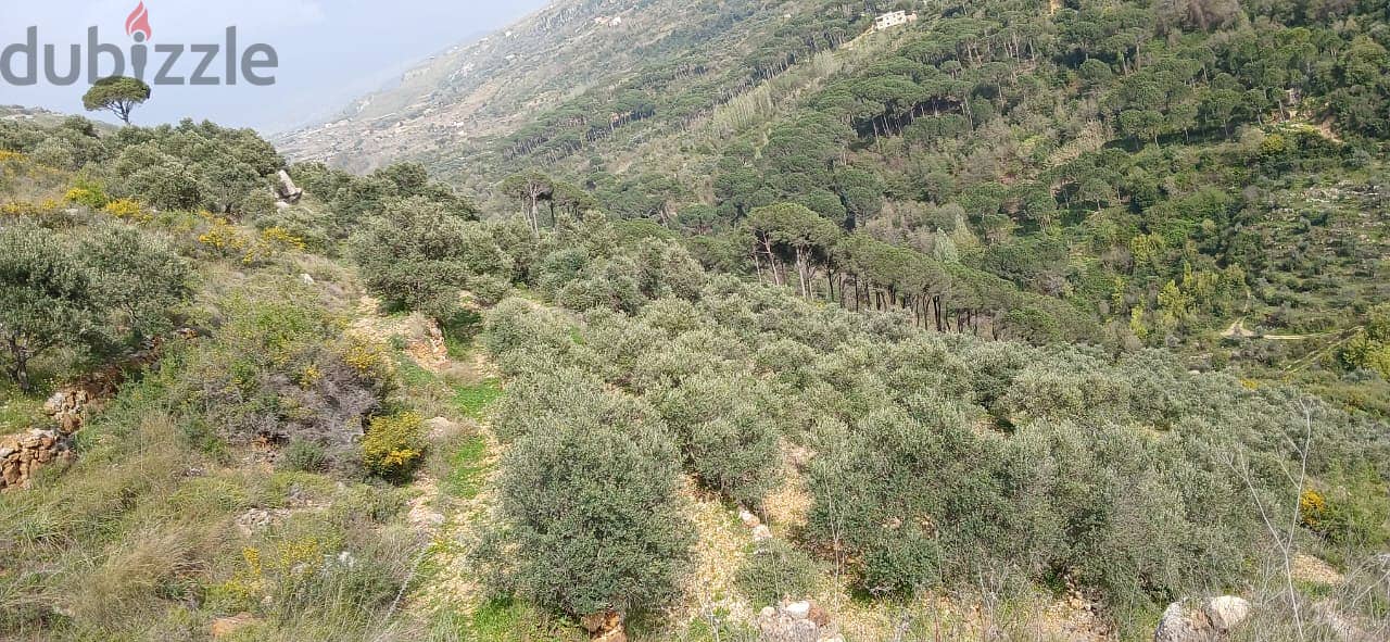 12,000 m2 Land for Sale in El Bireh 0