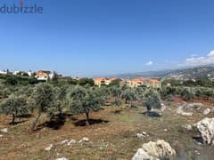 Residential land for sale Amioun 0