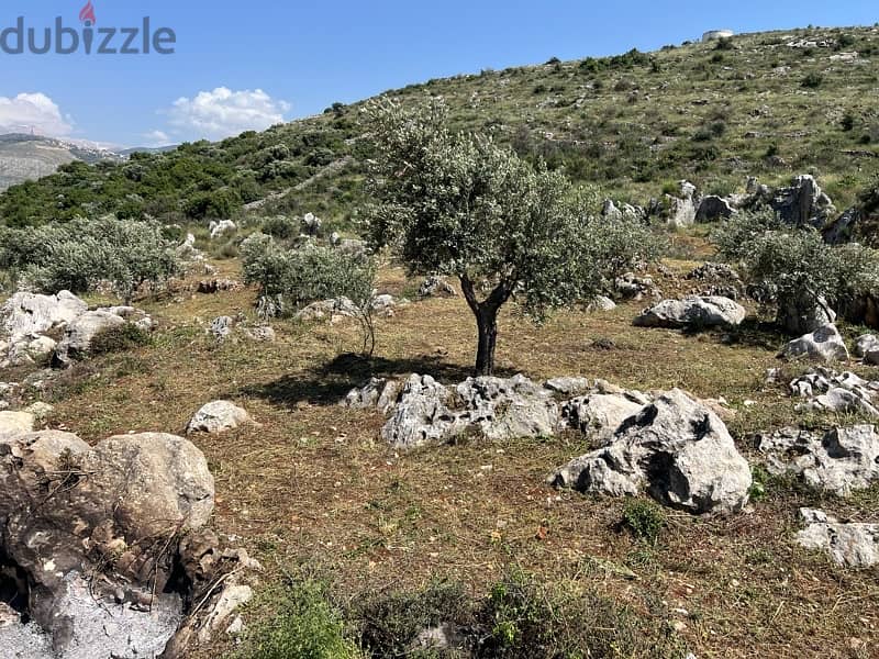Residential land for sale Amioun 7