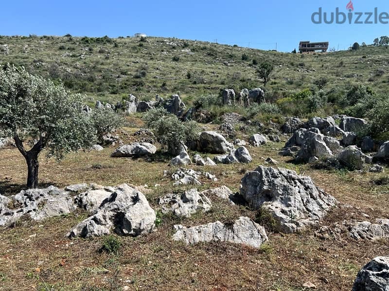 Residential land for sale Amioun 8