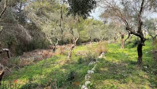 2690 SQM Land in Choueifat El Qoubbeh, Aley Panoramic View