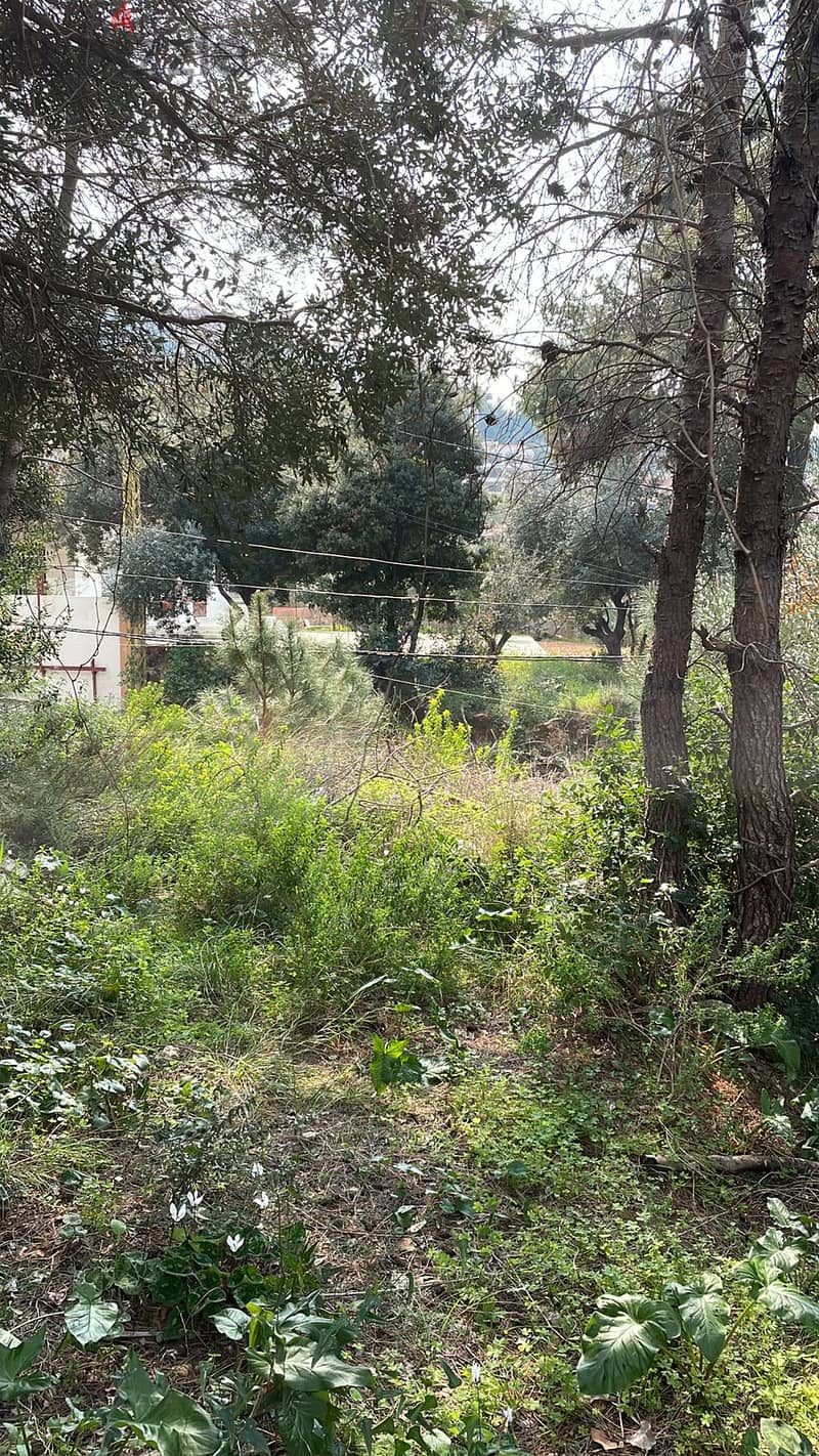 2690 SQM Land in Choueifat El Qoubbeh, Aley Panoramic View 2