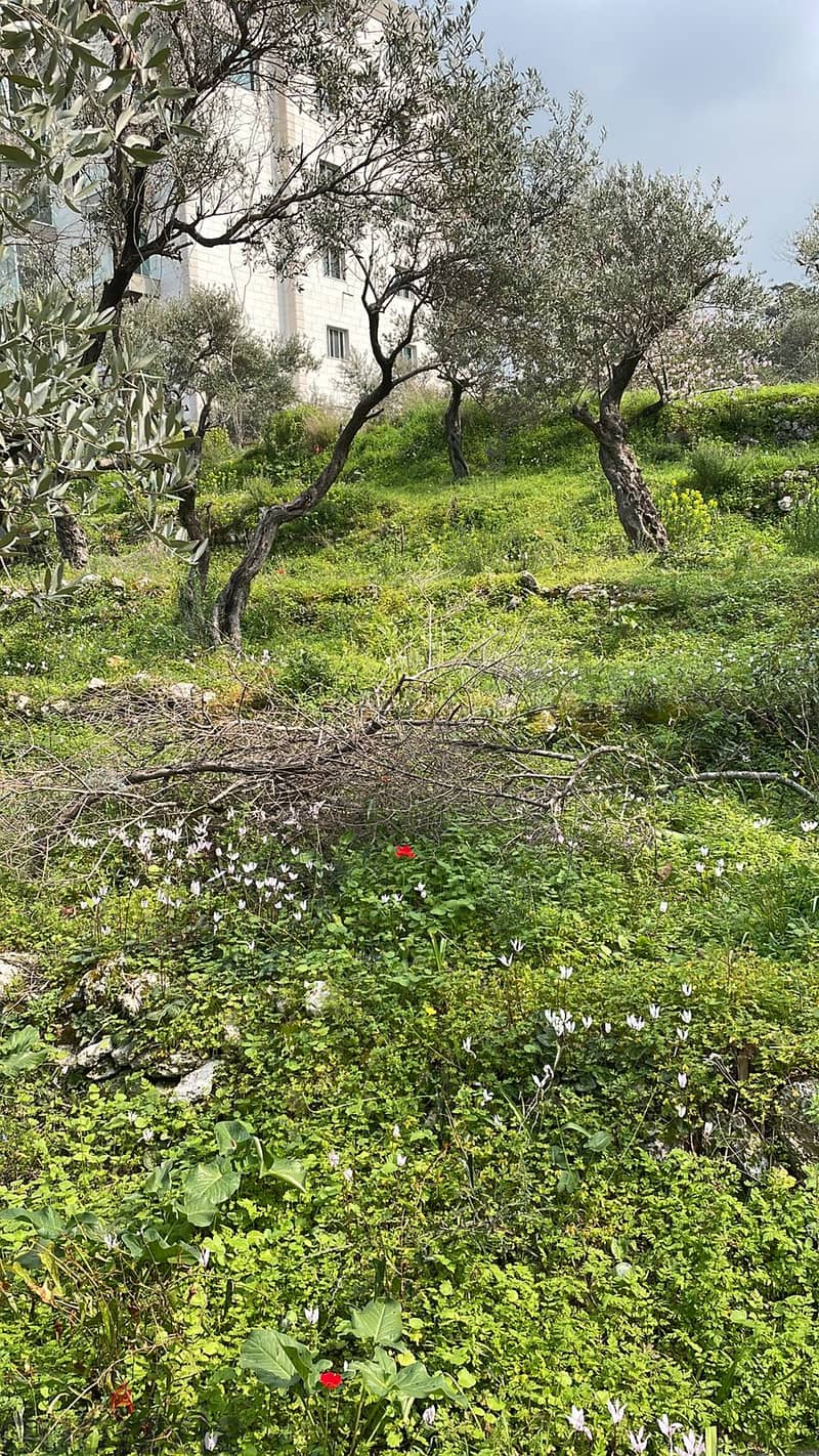 2690 SQM Land in Choueifat El Qoubbeh, Aley Panoramic View 3