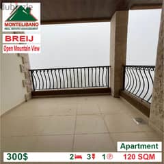 300$!! Open Mountain View Apartment for rent located in Breij 0