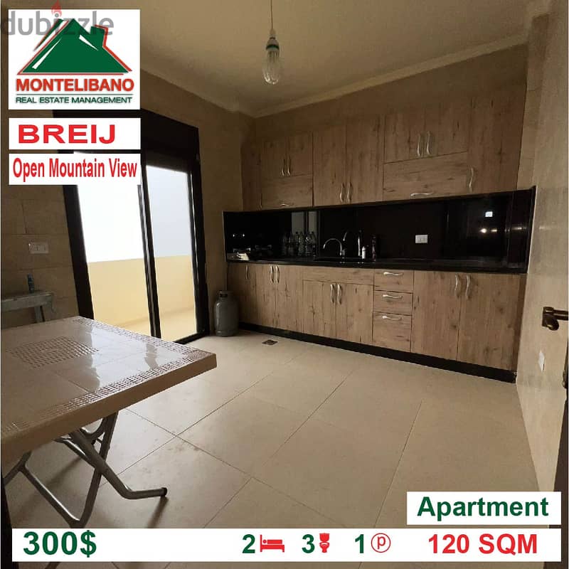 300$!! Open Mountain View Apartment for rent located in Breij 3