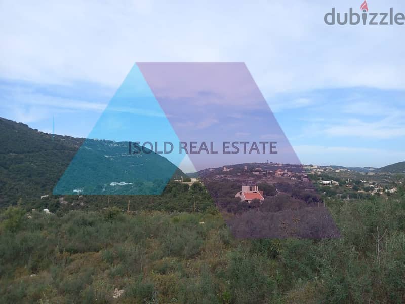 1225 m2 land having open mountain/sea view for sale in Ain Kfaa/Jbeil 1