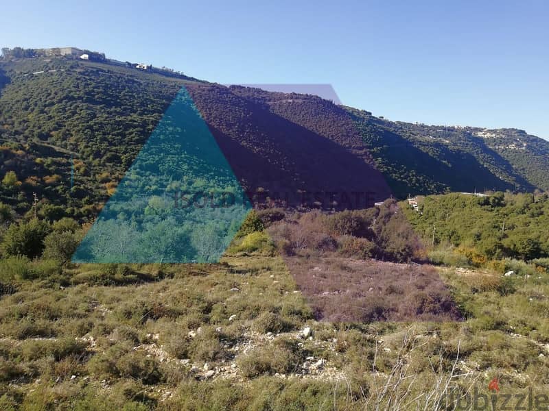 1225 m2 land having open mountain/sea view for sale in Ain Kfaa/Jbeil 5