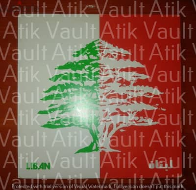 45 ans au service du Liban  vinyl 45t 7" Lebanese Phalanges theme