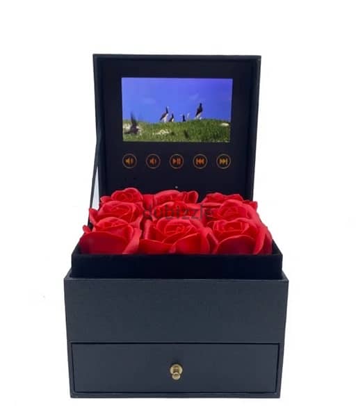 Video Box with 9 Eternal Roses 2