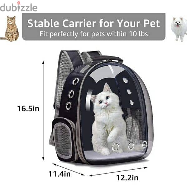 FPVERA Black Cat Backpack Carrier:Transparent for Traveling 3$delivery 5