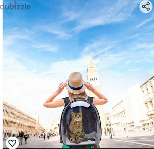 FPVERA Black Cat Backpack Carrier:Transparent for Traveling 3$delivery 7