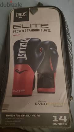 Original Everlast 14 Oz Boxing Gloves