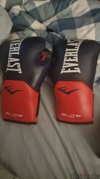 Original Everlast 14 Oz Boxing Gloves 1
