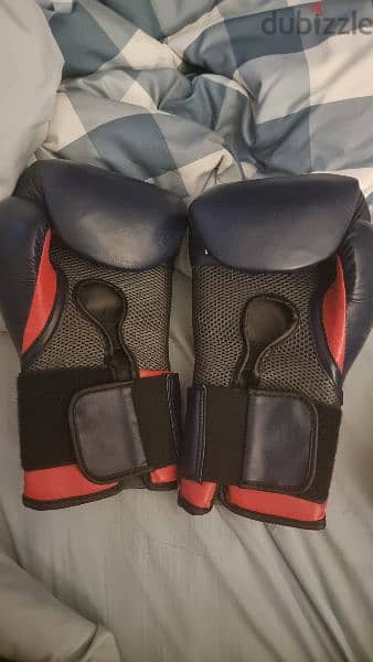 Original Everlast 14 Oz Boxing Gloves 2
