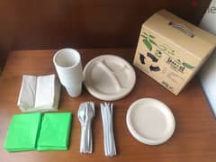Biodegrable Disposable Tableware and Curlery