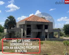 843 sqm villa with 2637 sqm property in bziza,Koura/بزيزا REF#NM105395